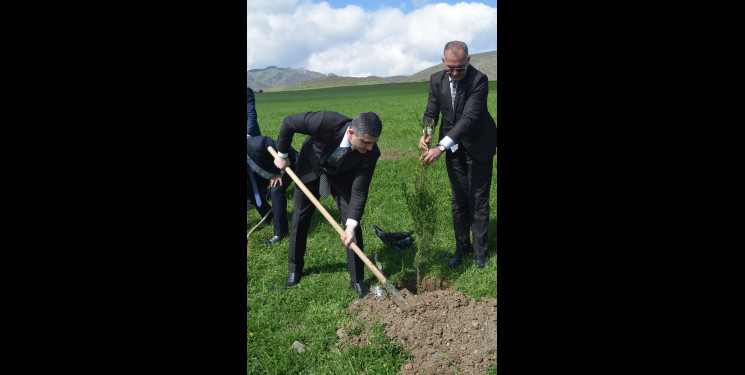 “Şəhərsalma və Memarlıq İli” çərçivəsində ağacəkmə aksiyası keçirilib